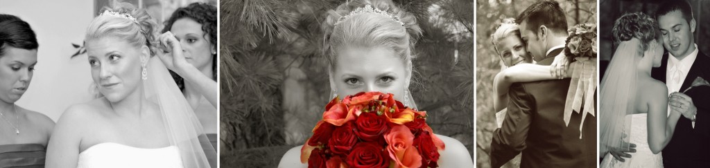 Michigan Wedding Photographer - How to find the right wedding photographer